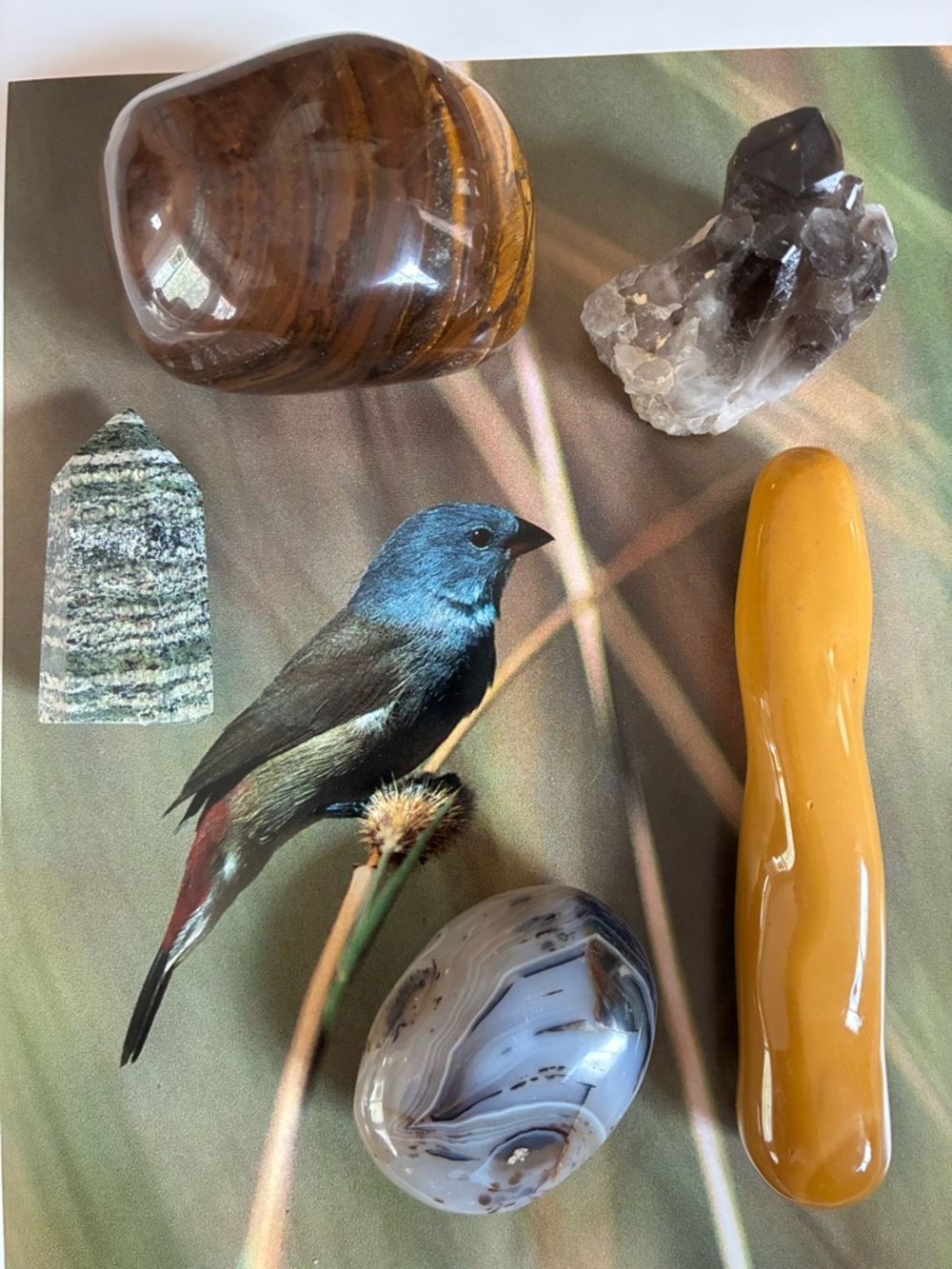 🔮 5 Piece Healing Crystal Gift Box - Zebra Jasper Tower (rare)⚡️🎁